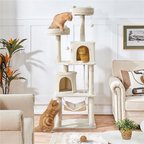 Purrfect Plush Cat Haven
