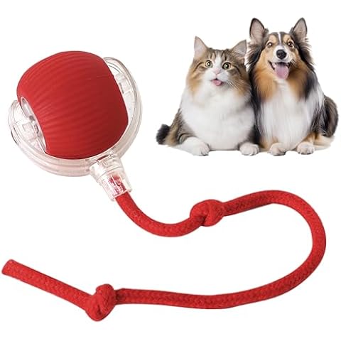 PawPlay Interactive Ball TM