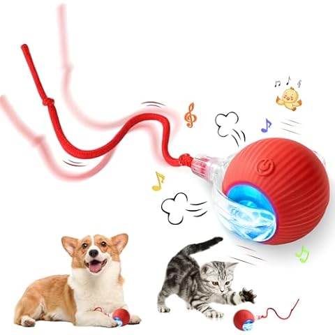 PawPlay Interactive Ball TM