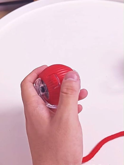 PawPlay Interactive Ball TM